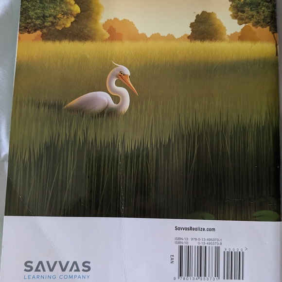 Envision Mathematics Textbook - Picture 2 of 4